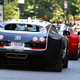 Illustration for article titled This Is $10.6 Million Of Bugatti Veyrons In One Photo